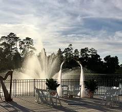 Hilton Bonnet Creek wedding